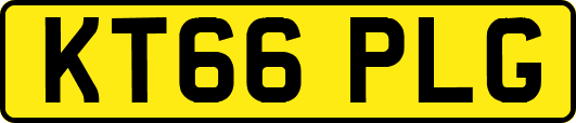 KT66PLG
