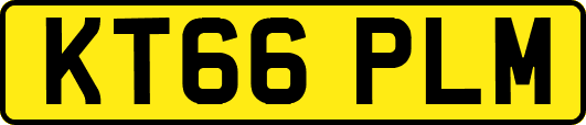 KT66PLM