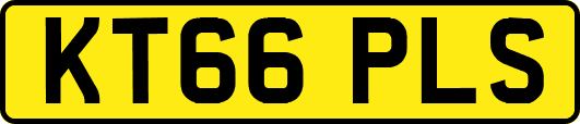 KT66PLS