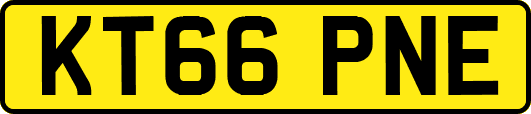 KT66PNE