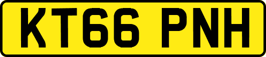 KT66PNH