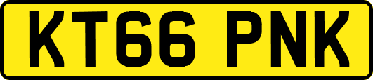 KT66PNK
