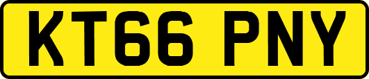 KT66PNY
