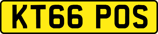 KT66POS
