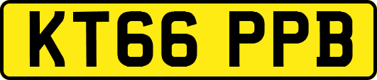 KT66PPB