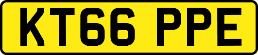 KT66PPE