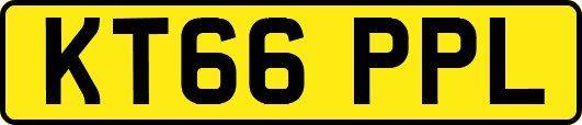 KT66PPL