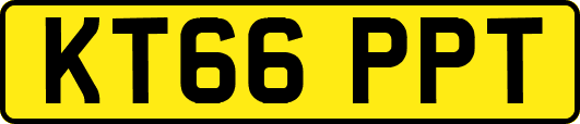KT66PPT
