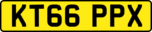 KT66PPX