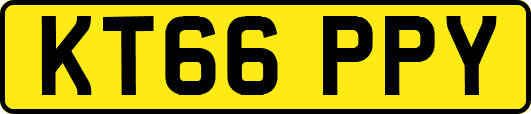 KT66PPY