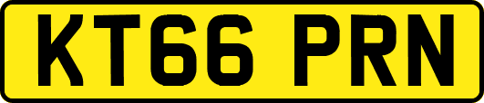 KT66PRN