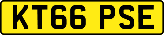 KT66PSE
