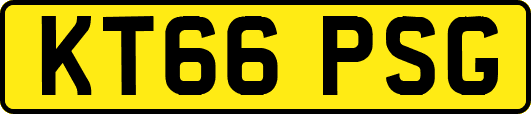 KT66PSG