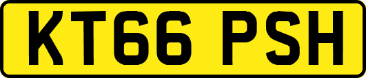 KT66PSH