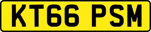 KT66PSM