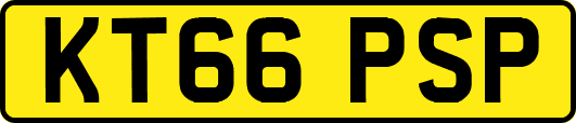 KT66PSP