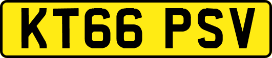 KT66PSV