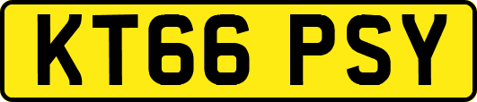 KT66PSY
