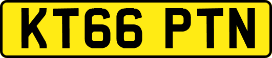KT66PTN