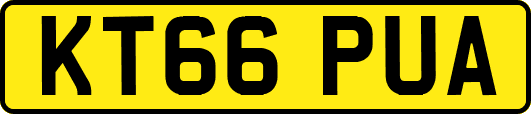 KT66PUA