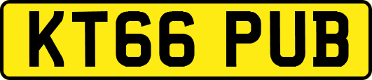 KT66PUB