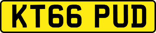 KT66PUD