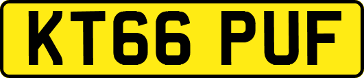KT66PUF