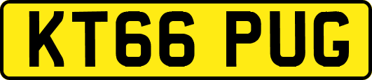 KT66PUG