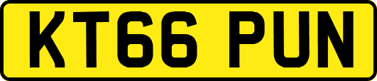 KT66PUN