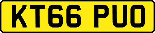 KT66PUO
