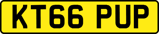 KT66PUP
