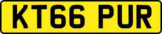KT66PUR