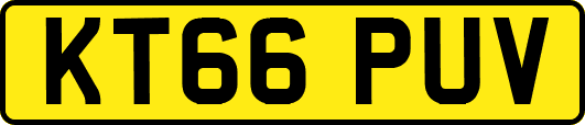 KT66PUV