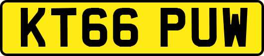 KT66PUW