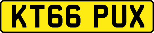 KT66PUX