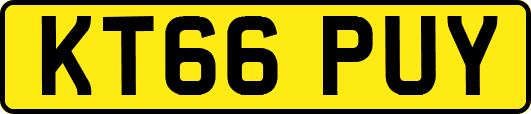 KT66PUY
