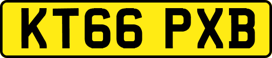 KT66PXB