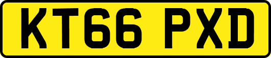 KT66PXD
