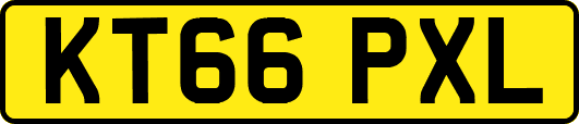 KT66PXL