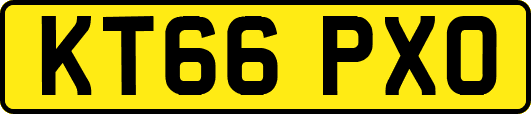 KT66PXO