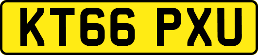 KT66PXU