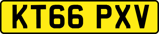 KT66PXV
