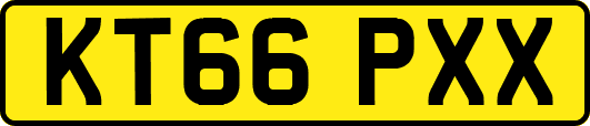 KT66PXX