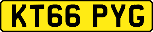 KT66PYG