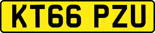 KT66PZU