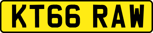 KT66RAW