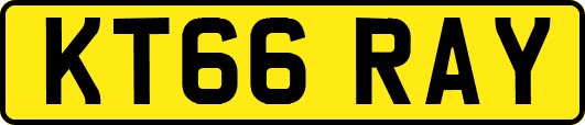 KT66RAY