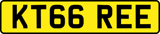 KT66REE