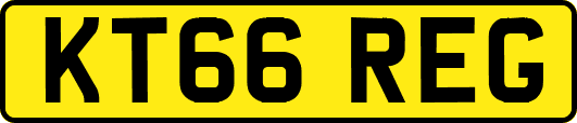 KT66REG