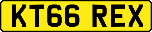 KT66REX